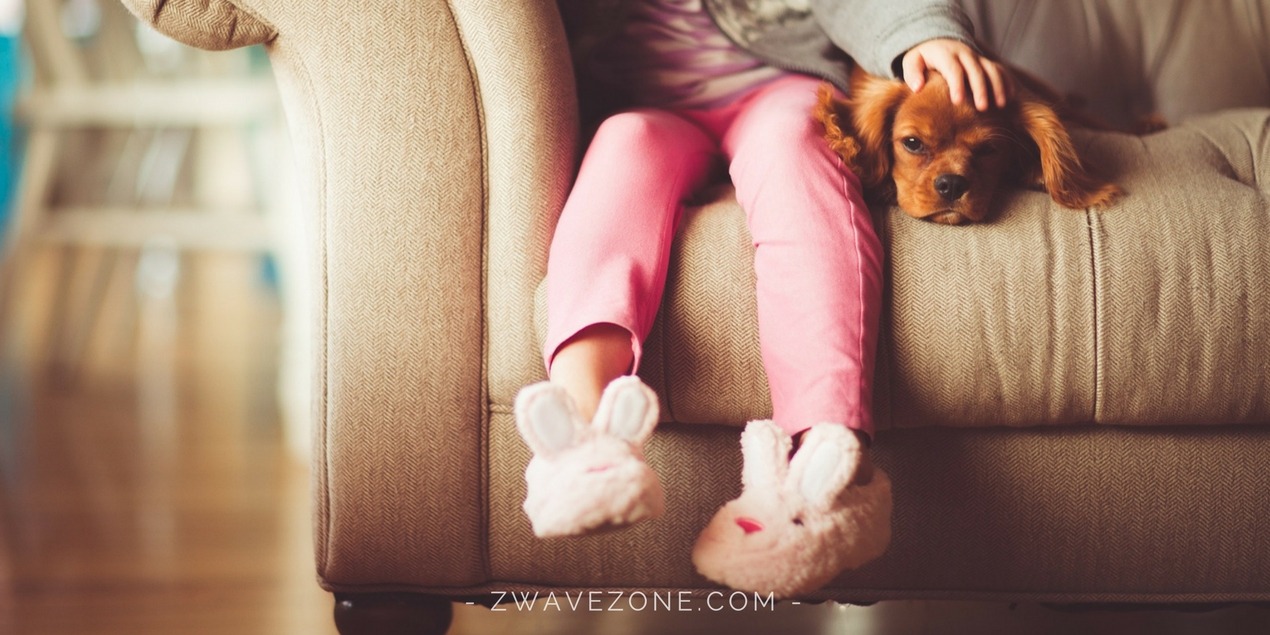 The Best Robotic Vacuum For Pet Hair The Best Robotic Vacuum For Pet Hair